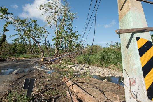 Roadside scene in  Puerto Rico after Hurricane Marie showing damage to power lines