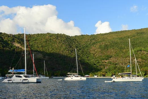 yachts at moorings s in small British Virgin Islands beach comunity