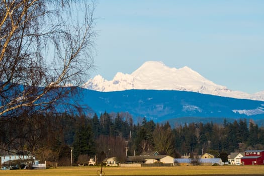 Mount Baker viewed across farm land in Skagit Valley, WA