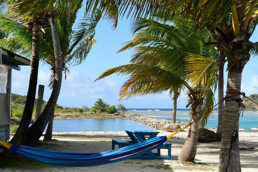 Hammock tied between two palm trees at small British Virgin Islands beach bar