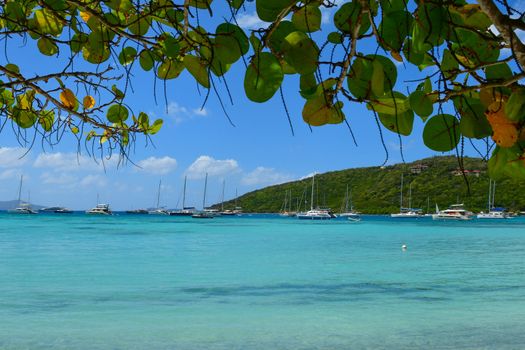 View of Caribbean beach in Virgin Islands showing boats at anchor