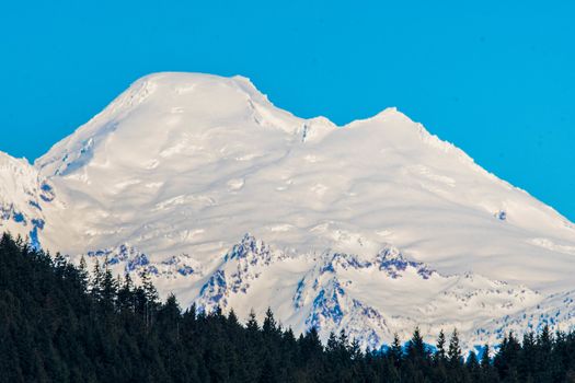 Snow capped Mount Baker from Skagit Valley with wooded hillside in foreground on Sunny Day