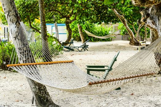 Hammock hanging between two trees on shady beach in British Virgin Islands
