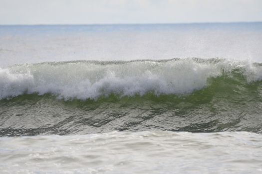 Good waves at La Push, Washington's First Beach.