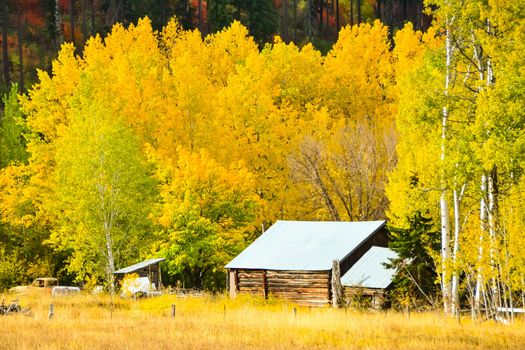 Barn in Fall foliage scene near Leavenworth, Washington