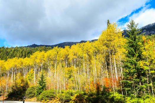 Fall foliage scene near Leavenworth, Washington