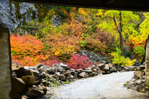 Taken in Tumwater Canyon, WA