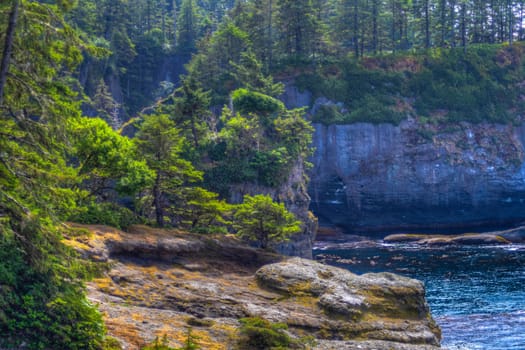 Washington's most beautiful corner and the Lower 48's Northwestern most point at Cape Flattery, Washington.