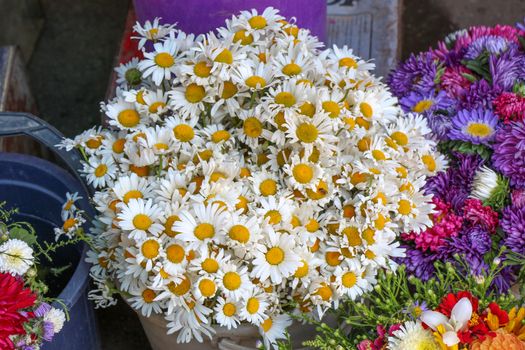 Beautiful bouquet of daisy flowers on street  flower vendor