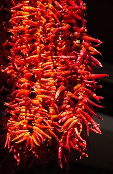 Bundles of red peppers dry in the sun