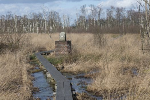Boundary stone in nature reserve the Wooldse veen on the Southeast side of the municipality of Winterswijk in the Netherlands to the border with Germany. This peat moor area is dissected by the border between the Netherlands and Germany. Therefore there are many boundary stones to be found in this nature reserve.
