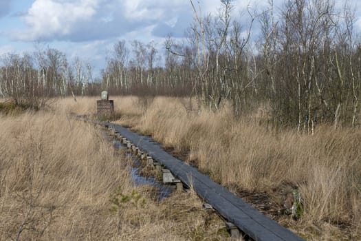 Boundary stone in nature reserve the Wooldse veen on the Southeast side of the municipality of Winterswijk in the Netherlands to the border with Germany. This peat moor area is dissected by the border between the Netherlands and Germany. Therefore there are many boundary stones to be found in this nature reserve.
