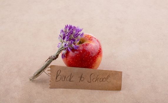 Back to school lettering with an apple and a  bunch of flower