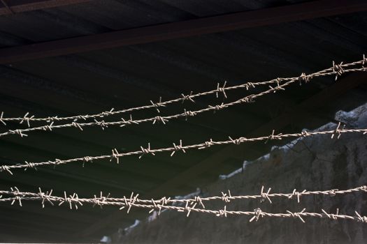 barbed wire fence  used for protection purposes