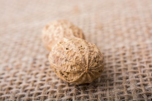 Peanut with shell on a linen canvas background