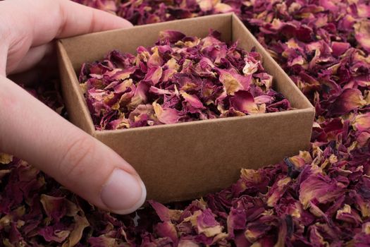 Dried  rose petals in box and as a background