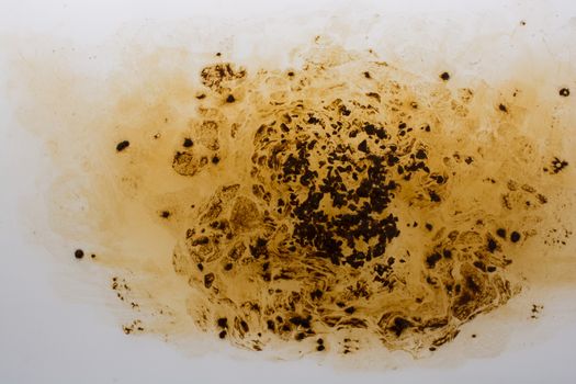 Coffe slowly dissolve in the hot water