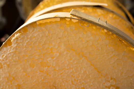 Sweet fresh honey in the sealed comb frame