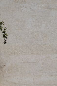 Wall surface as a simple background  texture pattern