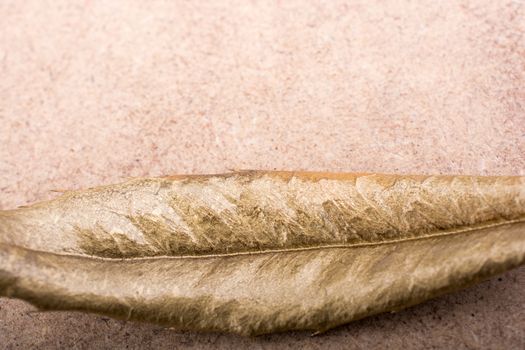 dry leaf on brown straw carpet background