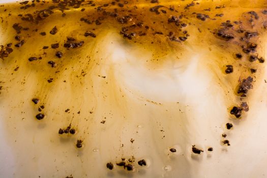 Coffe slowly dissolve in the hot water