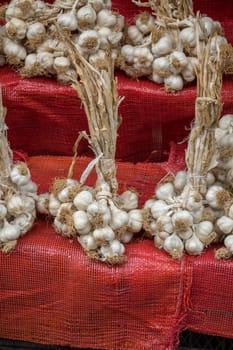 Bunch of garlic bulbs at the market place