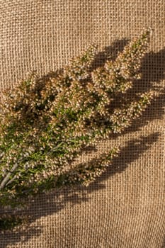 Green leaves placed on linen canvas