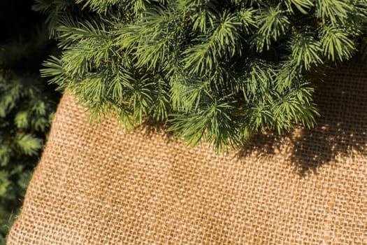 Green leaves placed on linen canvas