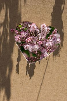 Flowers seen through heart shape cut out of cardboard