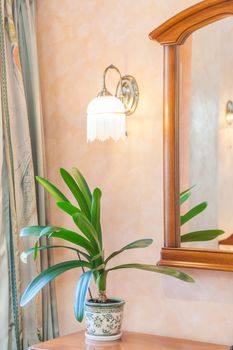 Dressing table with plant on and mirror above with reflection