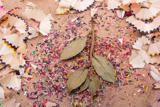 Dry leaves amid color pencil shaving