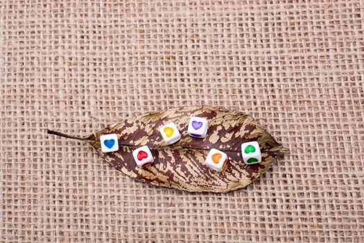 Colorful cubes with a heart  on leaf on canvas