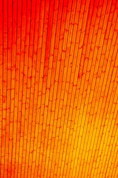 Texture details of an old wooden plunks as background