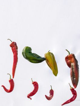 Red pepper plant found at the market stand