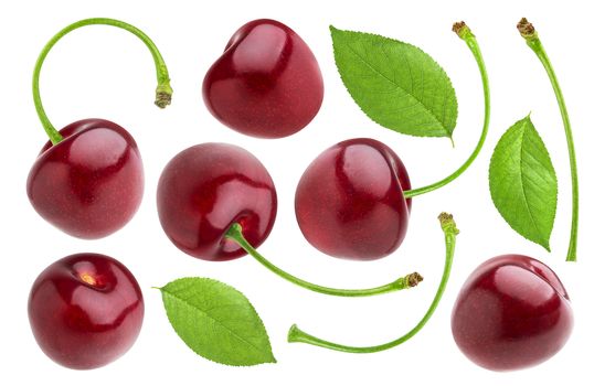 Cherries collection. Cherry isolated on white background