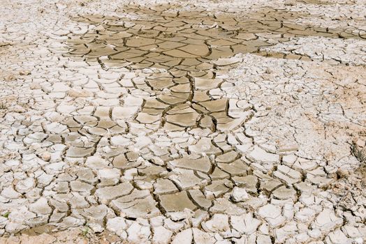 cracks soil texture