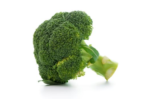 Raw broccoli vegetable isolated on white background