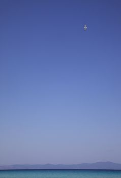 A lonely seagull on a clear sky over sea or ocean waters.