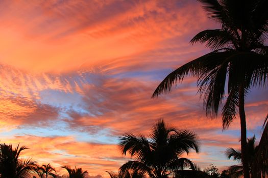 Beautiful sunset sky at summer evening. Dominican Republic 