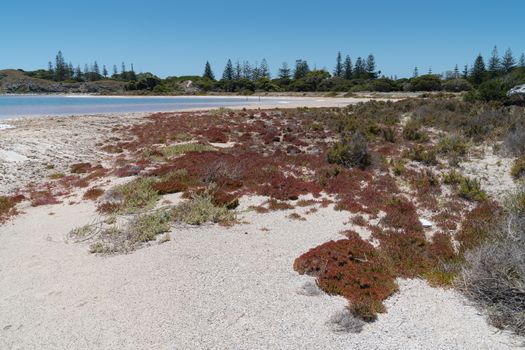 Landscape around the salt lakes of Rottnest Island, Western Australia