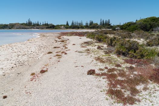 Landscape around the salt lakes of Rottnest Island, Western Australia