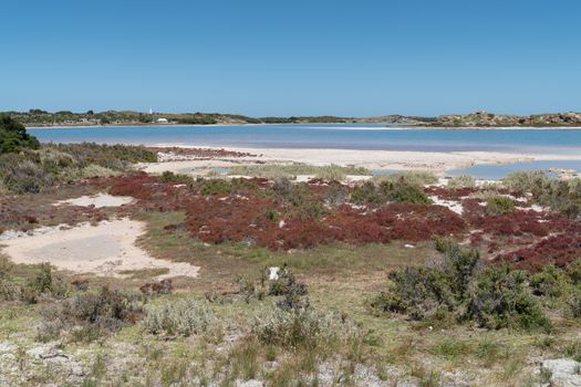 Landscape around the salt lakes of Rottnest Island, Western Australia