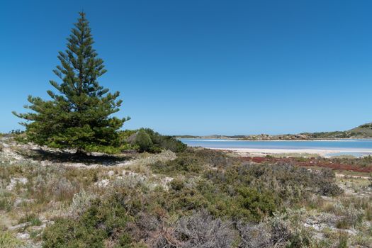 Landscape around the salt lakes of Rottnest Island, Western Australia