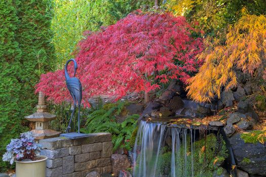 House backyard garden maple trees by waterfall pond in fall season color