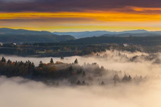 Rolling fog along Sandy River Valley in Clackamas County Oregon during sunrise