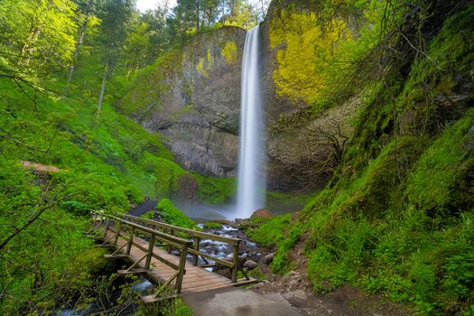 Wooden foot bridge along hiking trail by Latourell Falls in Columbia Rover Gorge Oregon