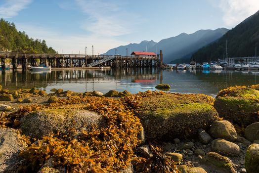 Marina at Horseshoe Bay in British Columbia Canada during low tide