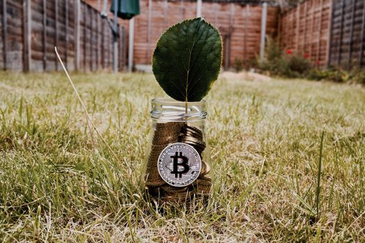 Digital currency physical silver bitcoin coin in glass jar with green leaf.