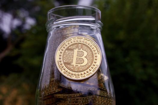 Digital currency physical gold bitcoin coin in garden on glass jar.