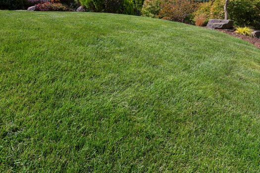 Healthy green grass lawn on yard of home garden in suburbs of North America